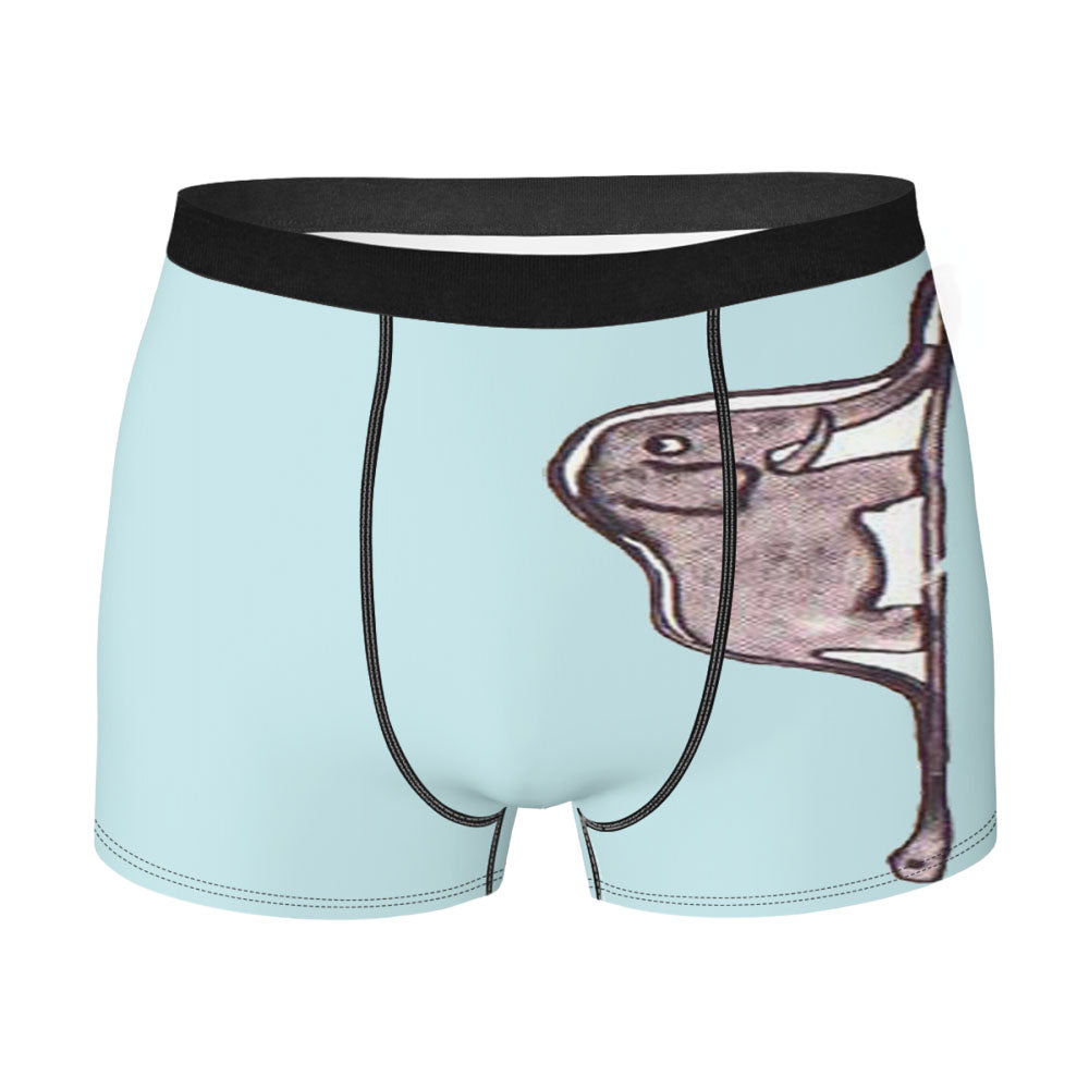 The Little Prince Elephant Men'S Boxer Briefs