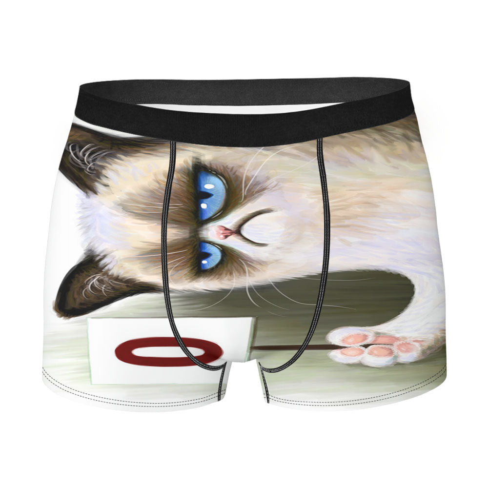 Angry Grumpy Cat Men'S Boxer Briefs