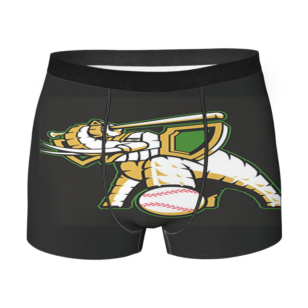 As Logo Large Men'S Boxer Briefs