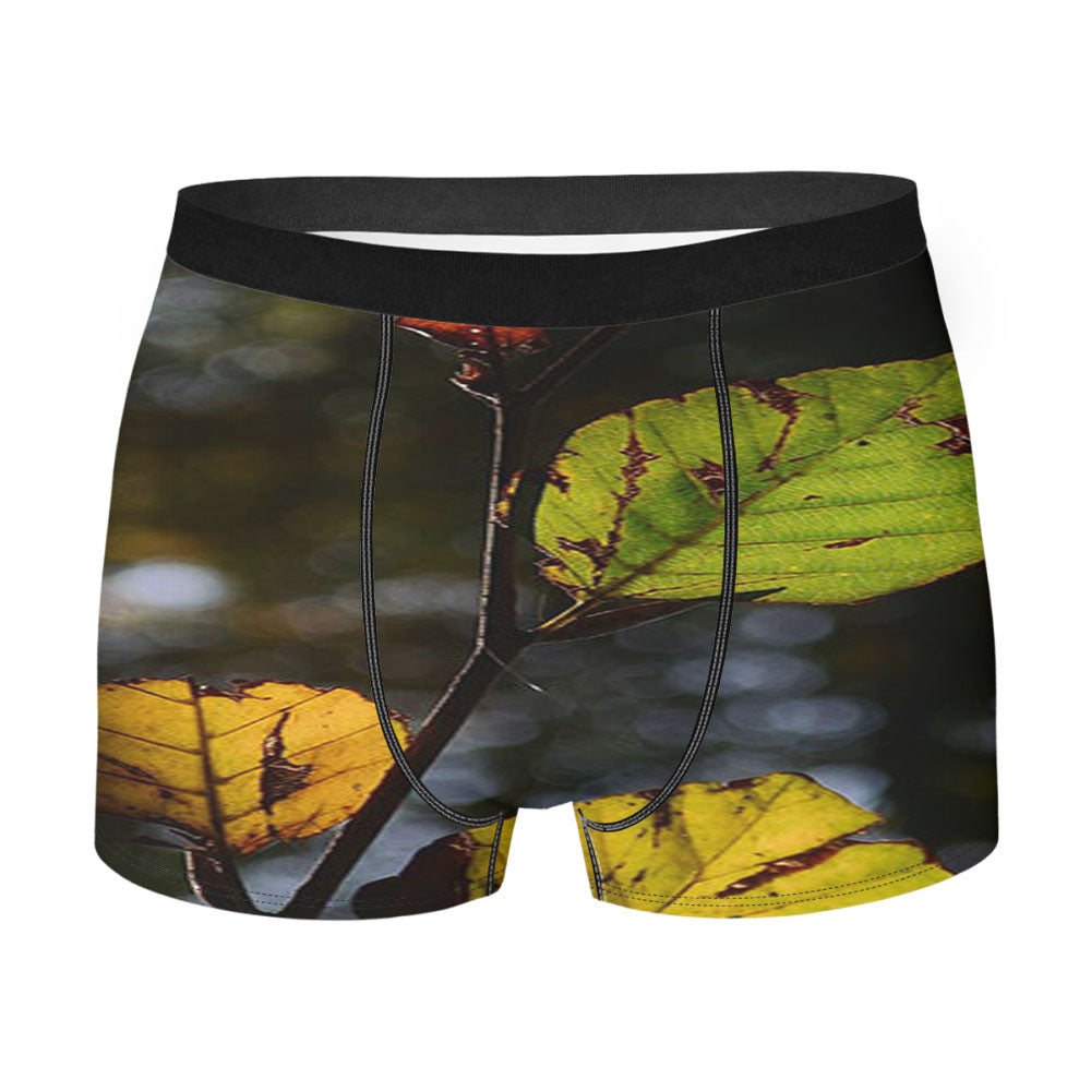Autumn Beech Men'S Boxer Briefs