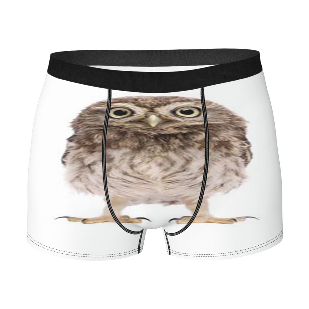 Baby Owl Wht Bkg Men'S Boxer Briefs