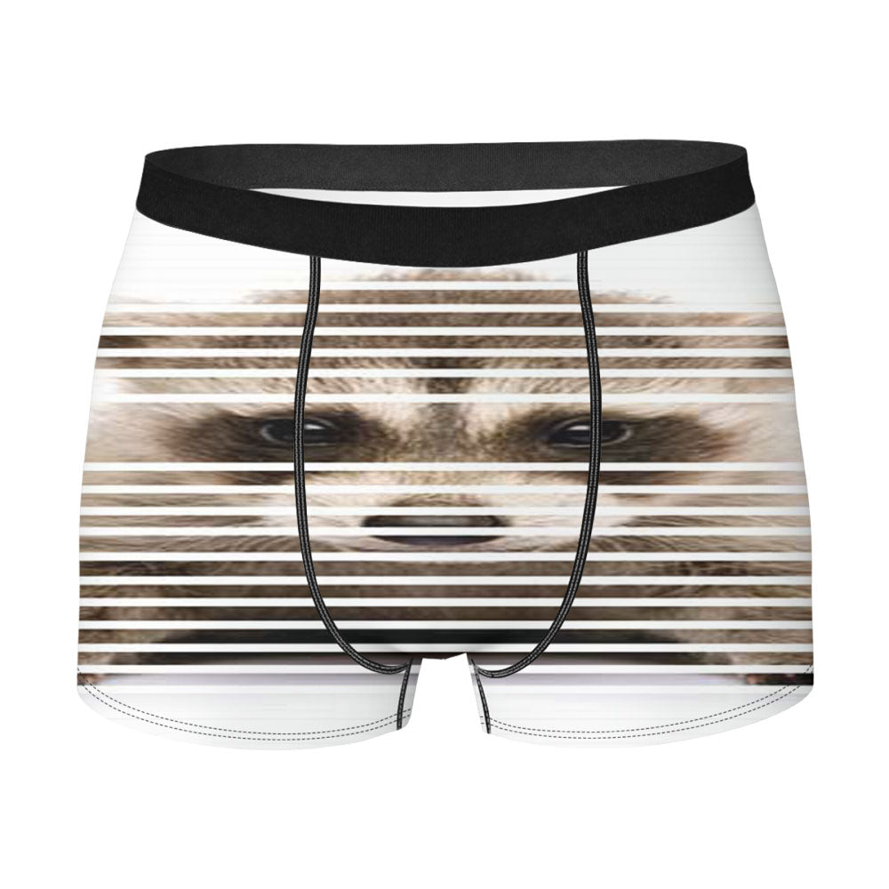 Baby Raccoon Men'S Boxer Briefs