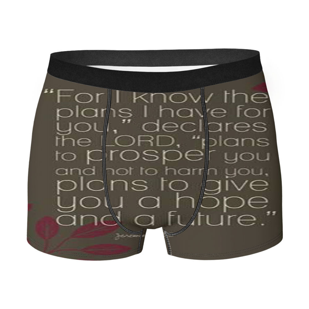 Bible Verse For I Know Brown Men'S Boxer Briefs