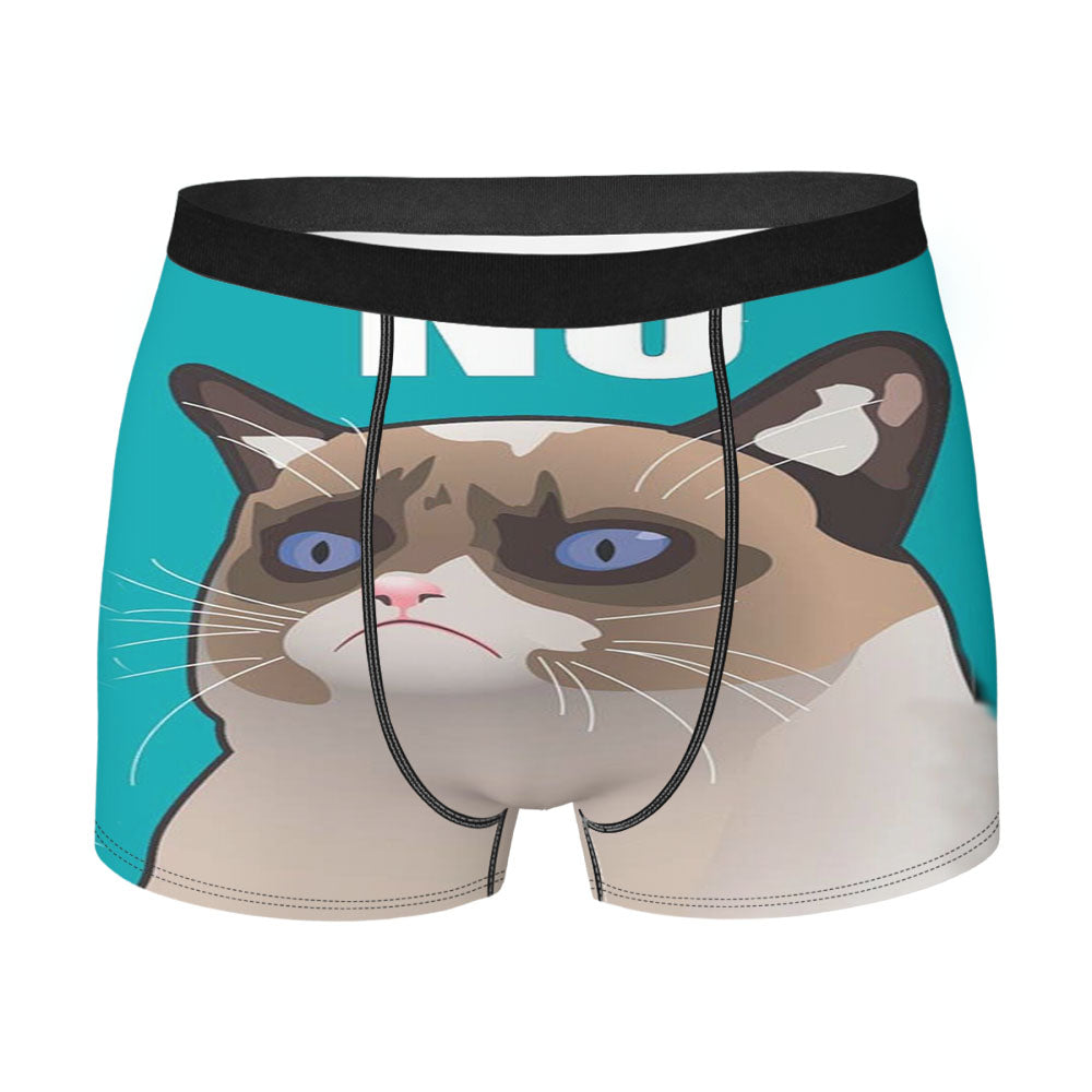 Cactus The Cranky Cat Men'S Boxer Briefs