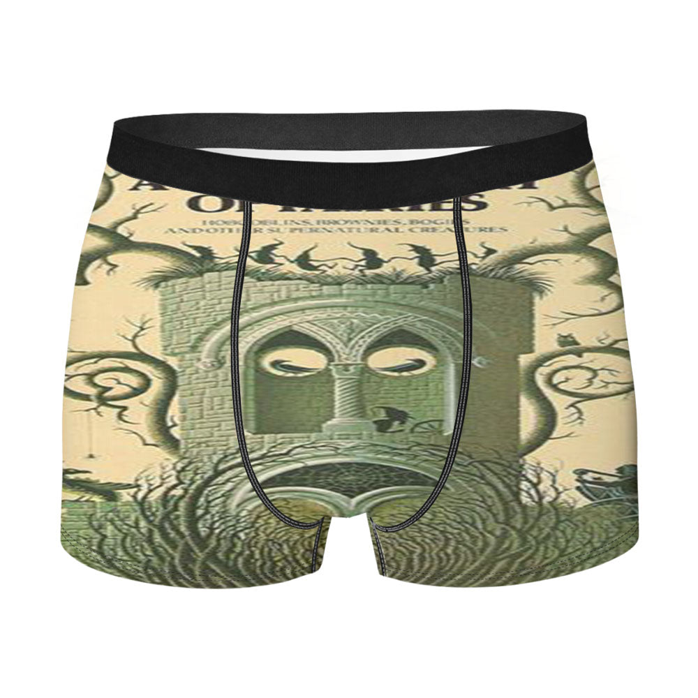 Dictionary Of Fairies Men'S Boxer Briefs