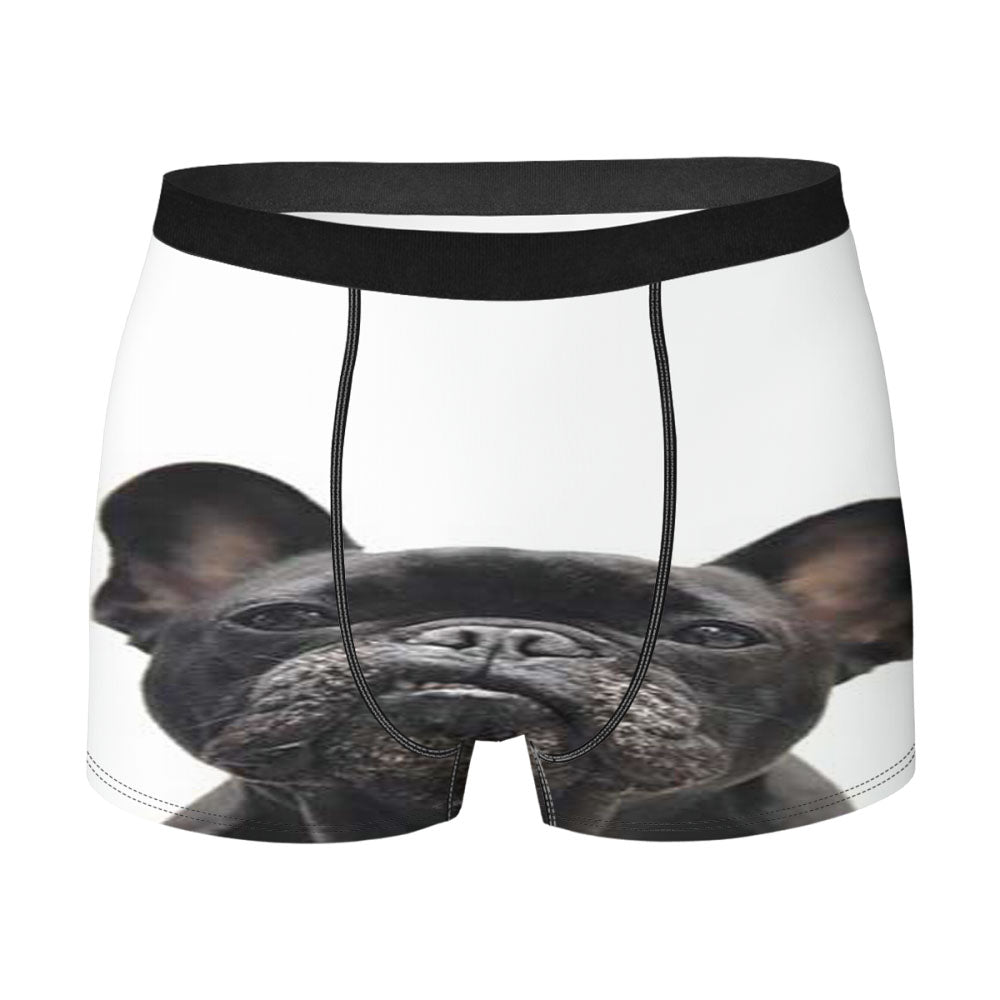 French Bulldog Snarl Men'S Boxer Briefs