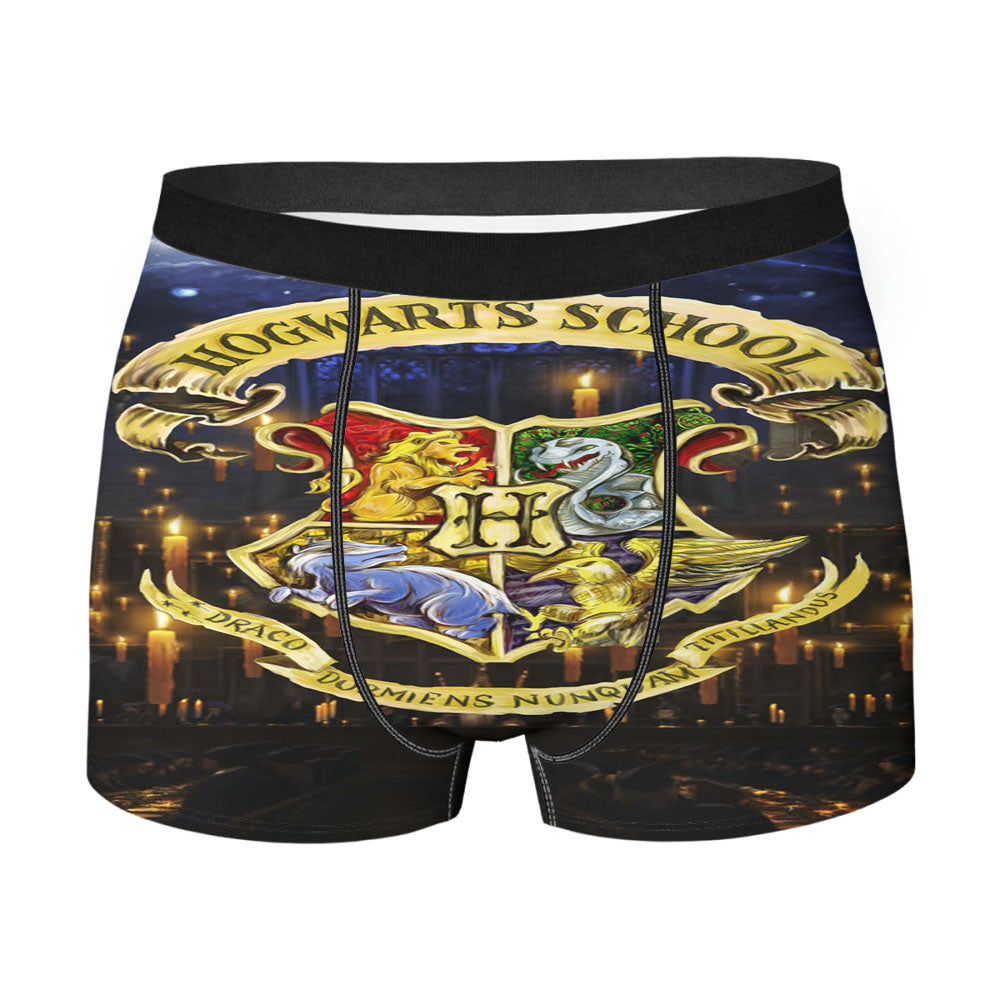 Harry Potter Hogwarts School Men'S Boxer Briefs