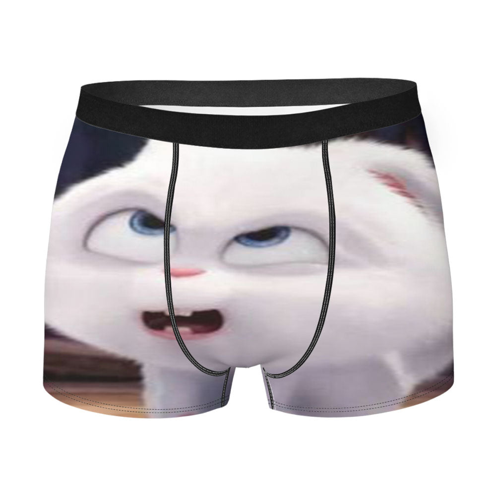 The Secret Life Of Pets Rabbit Men'S Boxer Briefs