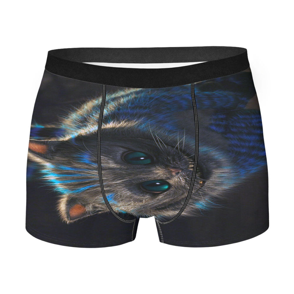 Flying Cheshire Cat Men'S Boxer Briefs