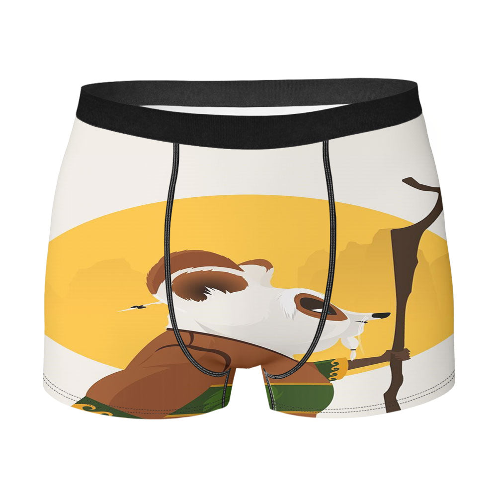 Kung Fu Panda Shifu Art Men'S Boxer Briefs