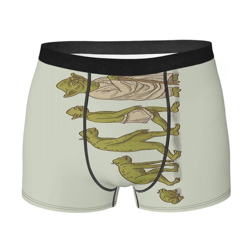 Metamorphosis Of Yoda Men'S Boxer Briefs