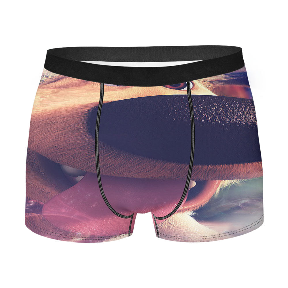 Up Disney Dog Men'S Boxer Briefs