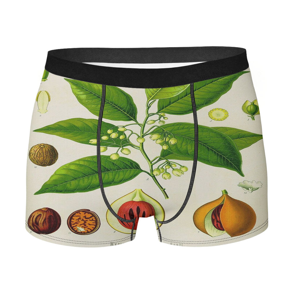 Nutmeg Fruit Men'S Boxer Briefs