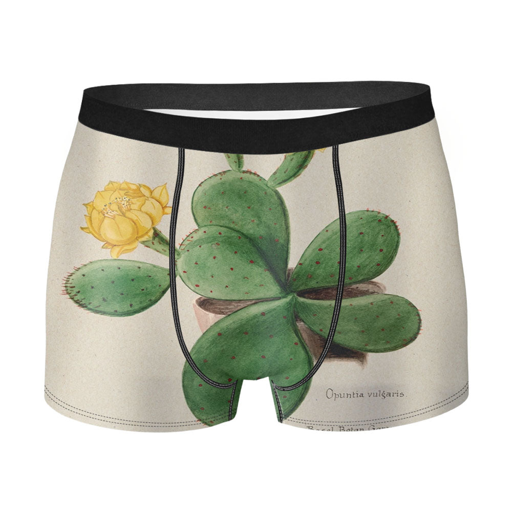 Prickly Pear Cactus Men'S Boxer Briefs