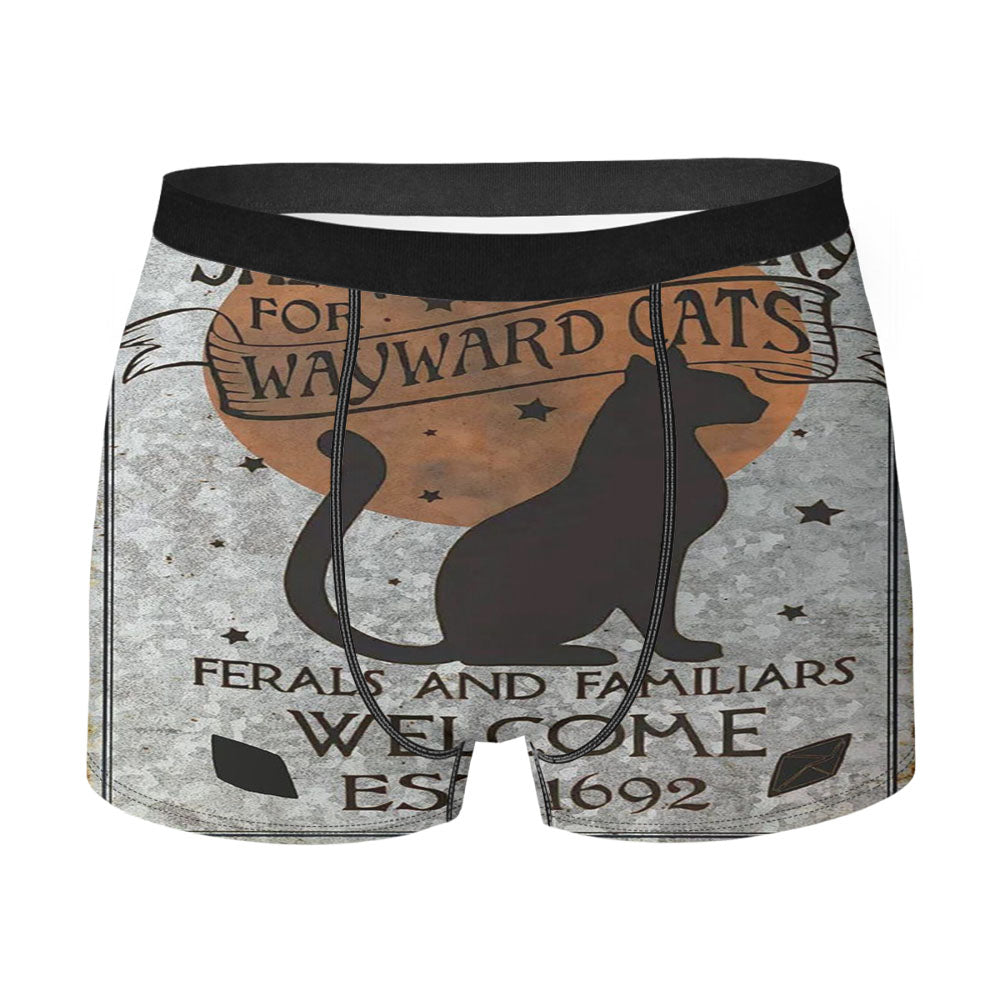 Salem Sanctuary For Wayward Cats Men'S Boxer Briefs