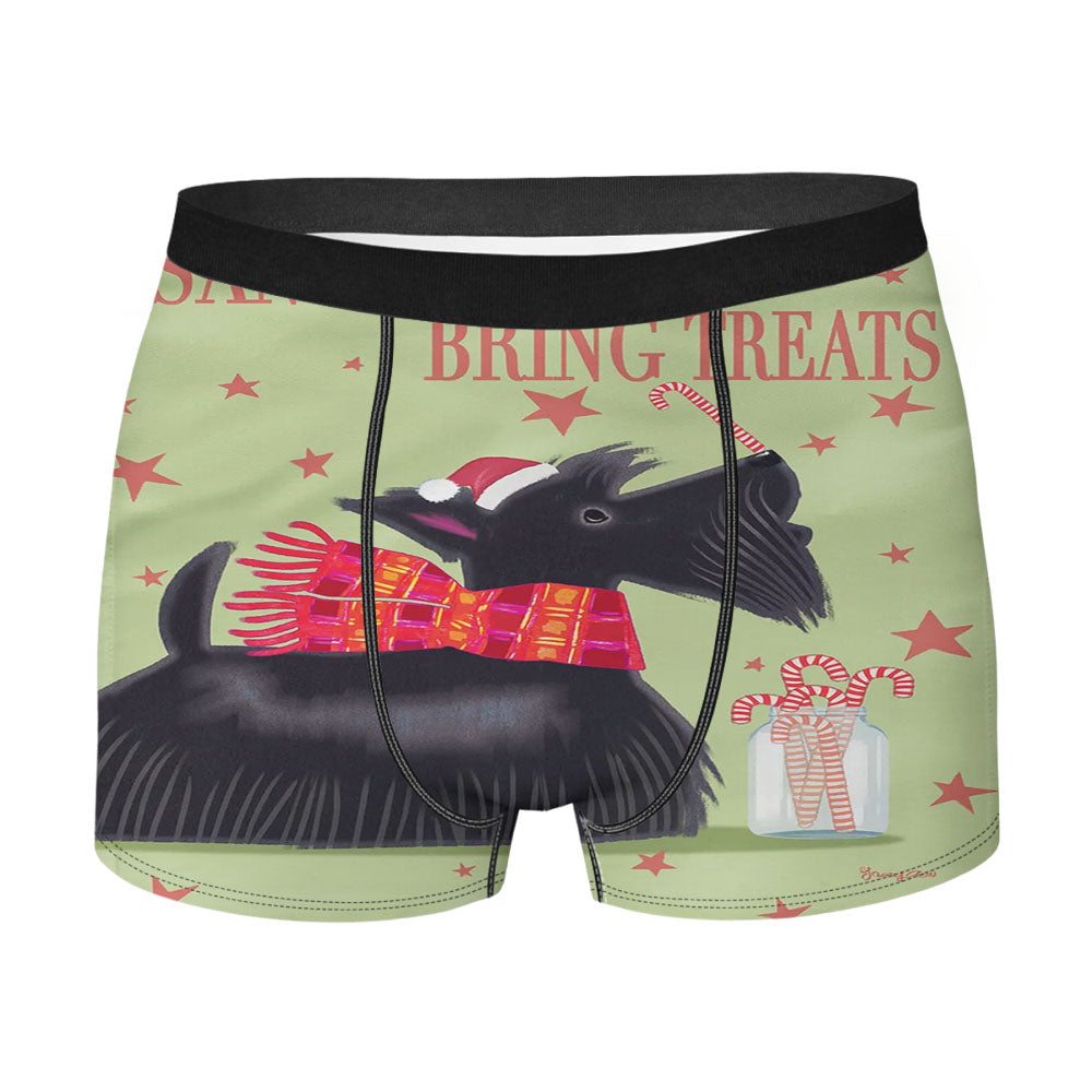 Sea Decide Skillfull Sailor Men's Boxer Briefs