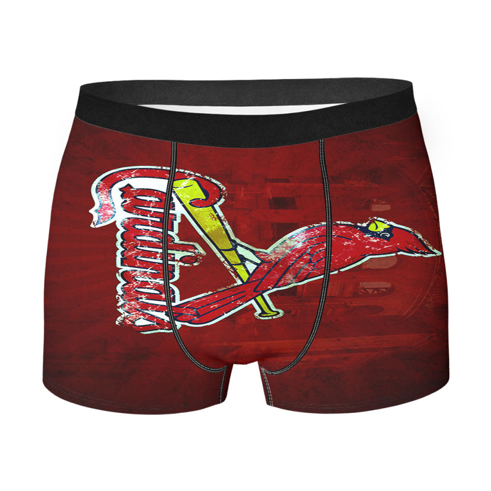 Superman Kingdom Come Men's Boxer Briefs