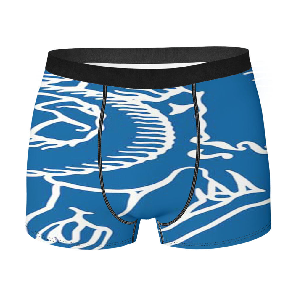 Superman Vs Muhammad Ali Boxing Men's Boxer Briefs