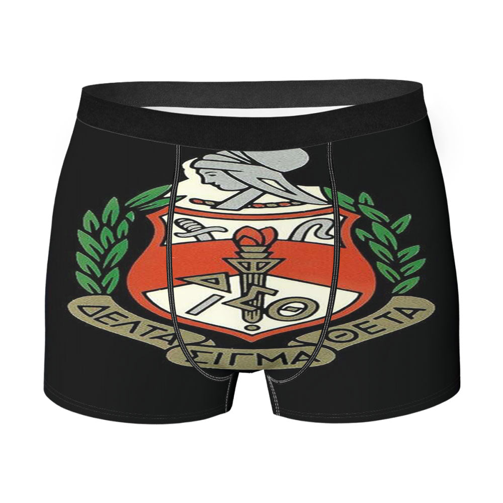 Delta Sigma Theta Logo Men's Boxer Briefs