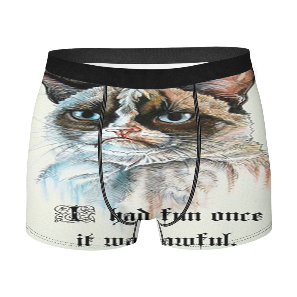 Grumpy Cat I Had Fun Once Men's Boxer Briefs
