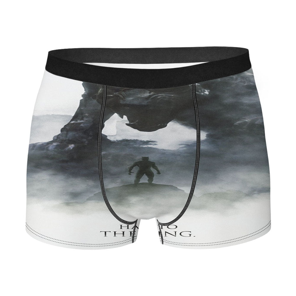 Hail To The King Black Panther Men's Boxer Briefs