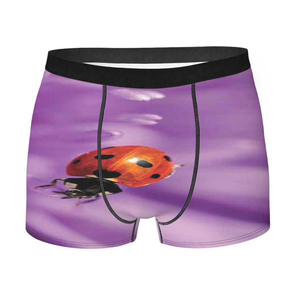 Lady Bug Purple Flower Closeup Men's Boxer Briefs