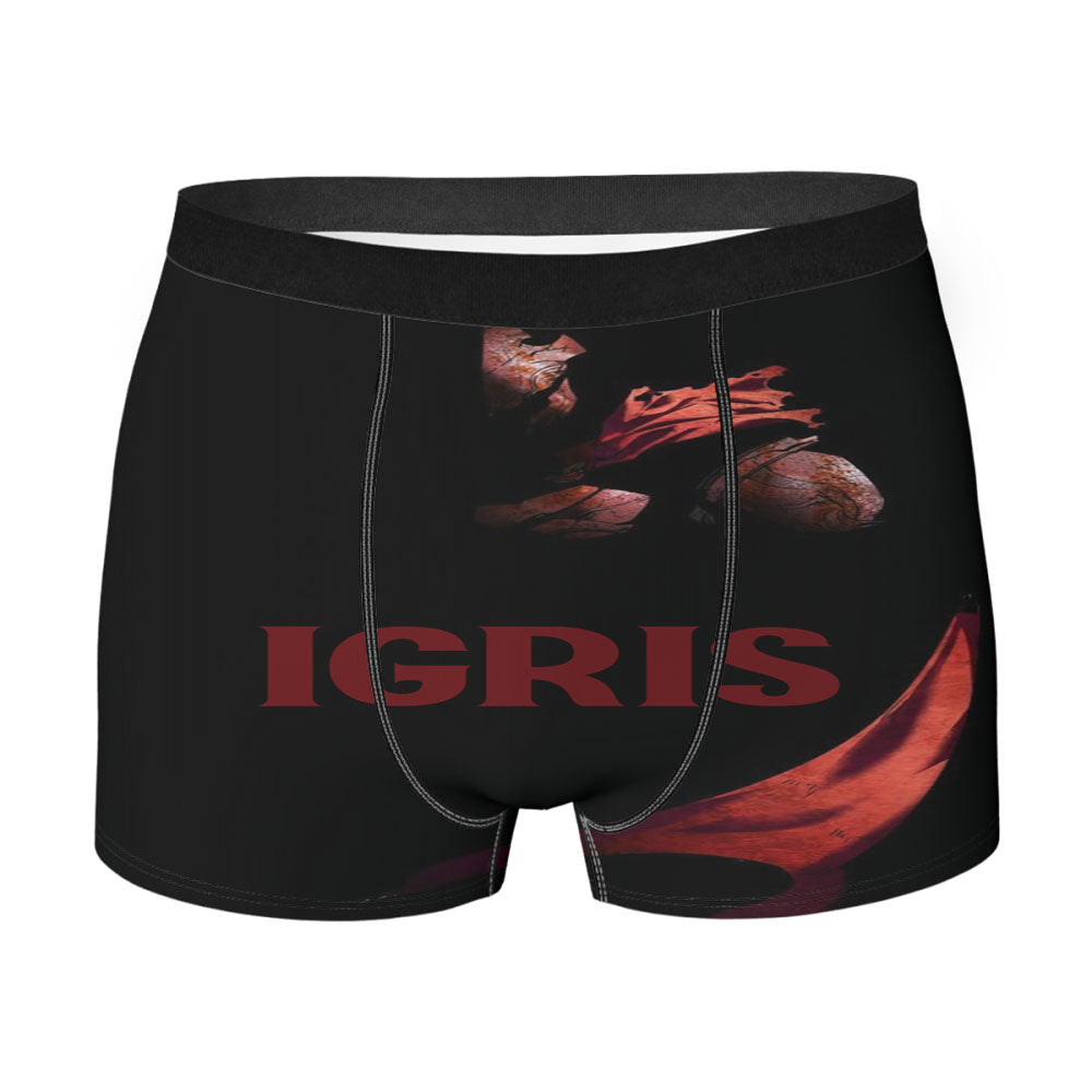 Manhwa Solo Leveling Red Igris Men's Boxer Briefs