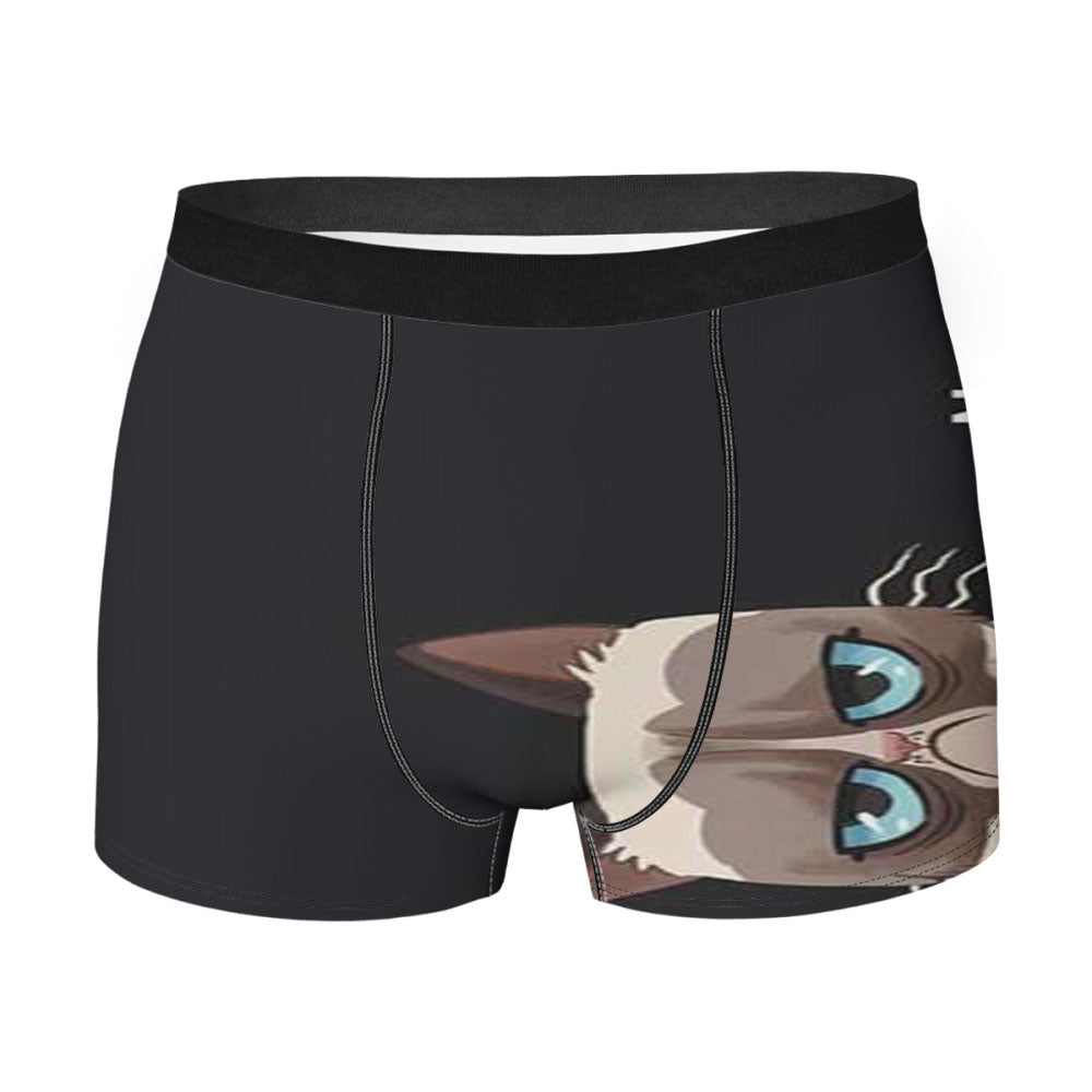 Grumpy Cat No Men'S Boxer Briefs