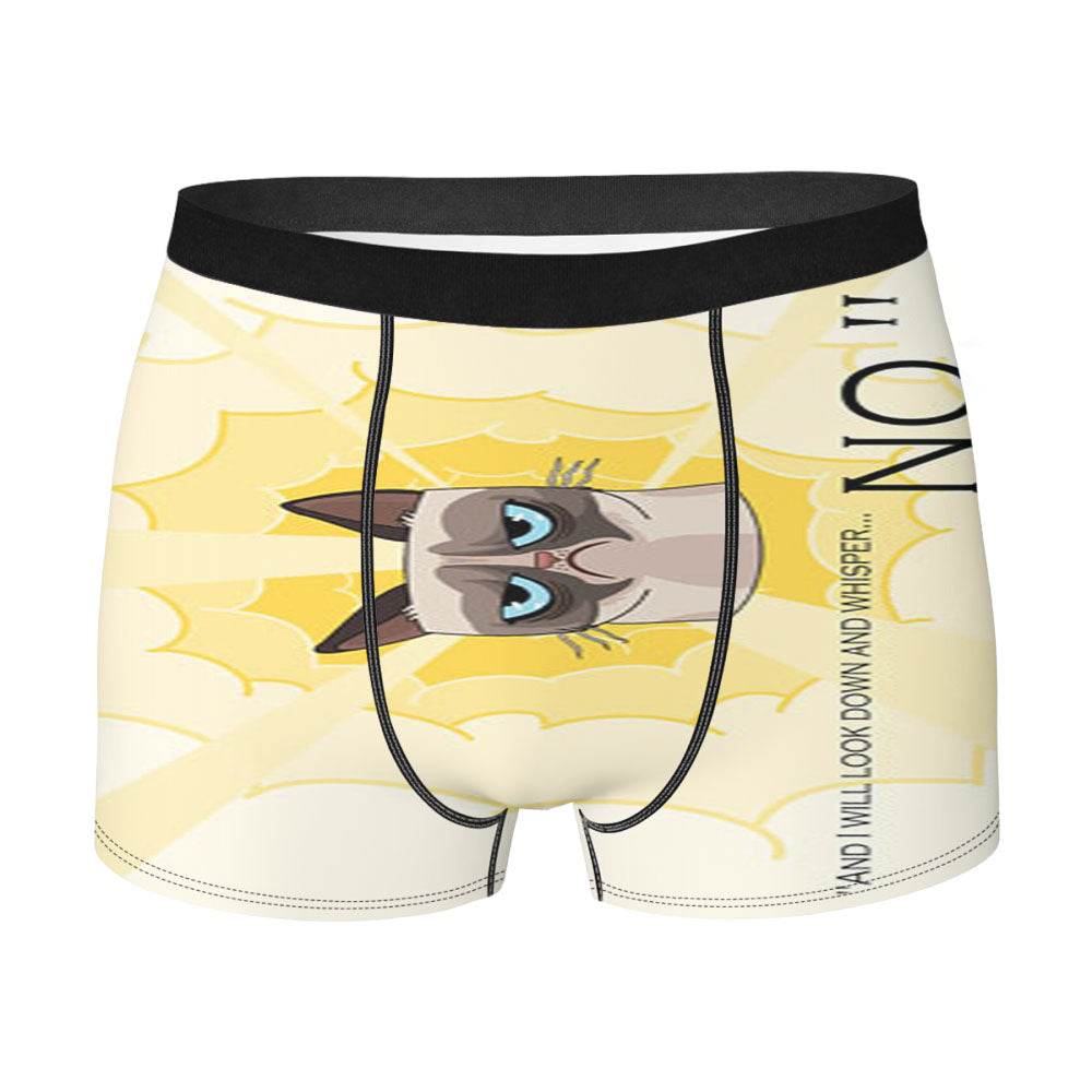 Grumpy Cat Whisper No Men'S Boxer Briefs
