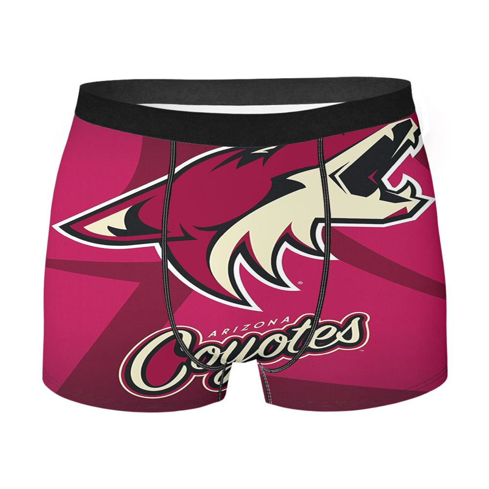 Arizona Coyotes Nhl Logos Men'S Boxer Briefs