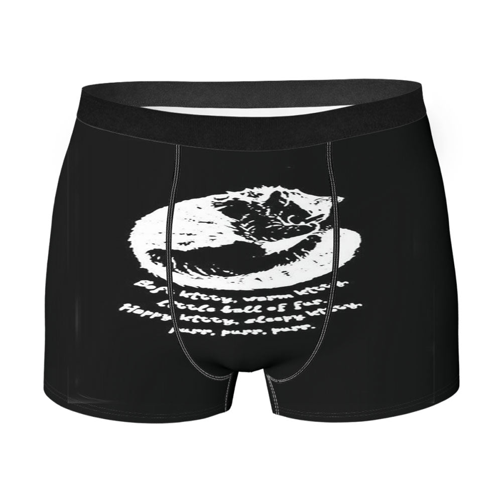 Big Bang Theory Soft Kitty Men'S Boxer Briefs