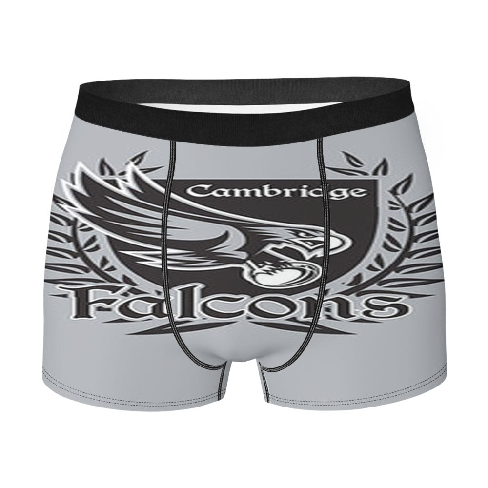 Cambridge Falcons Logo Silver Men'S Boxer Briefs