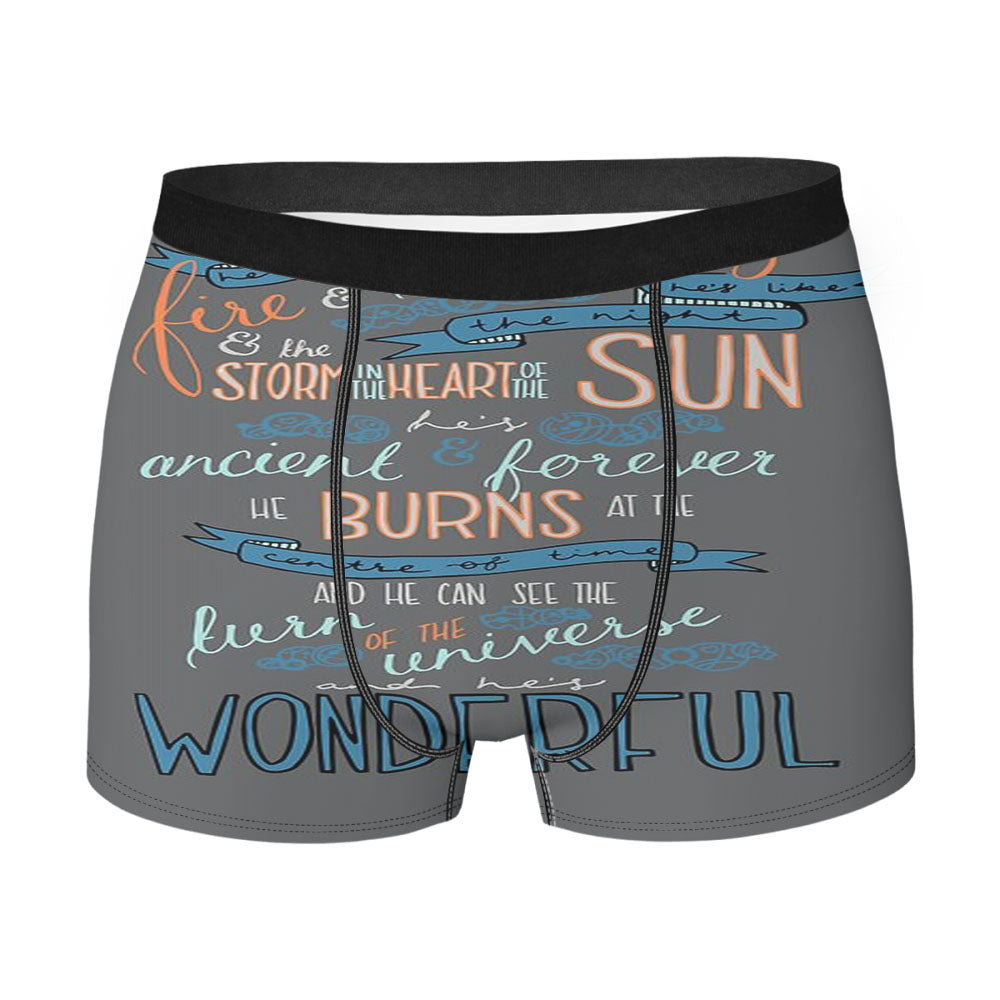 Dr Who Quotes Men'S Boxer Briefs