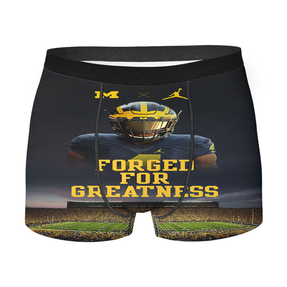 Michigan Wolverines For Greatness Men'S Boxer Briefs