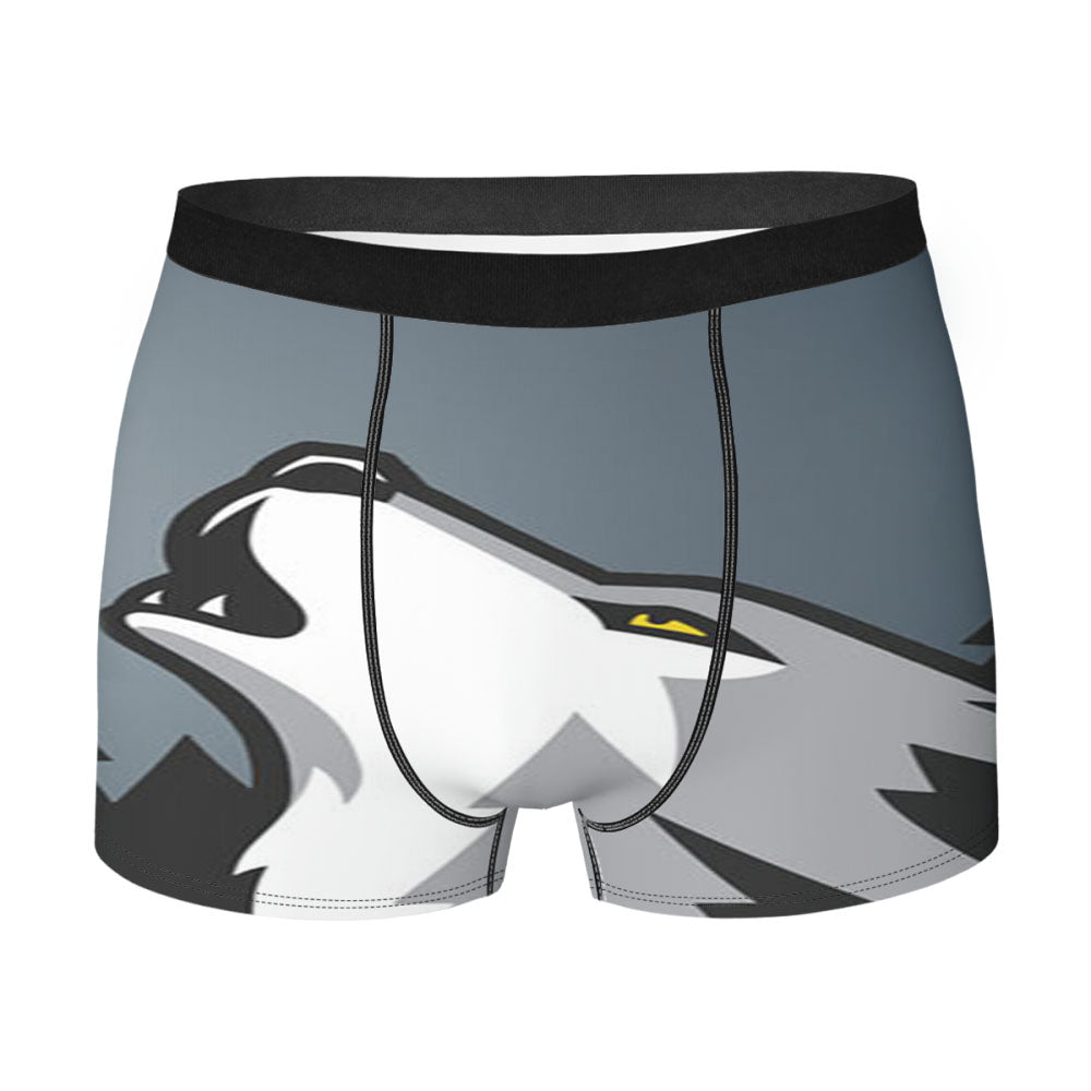 Minnesota Timberwolves Vector Men'S Boxer Briefs