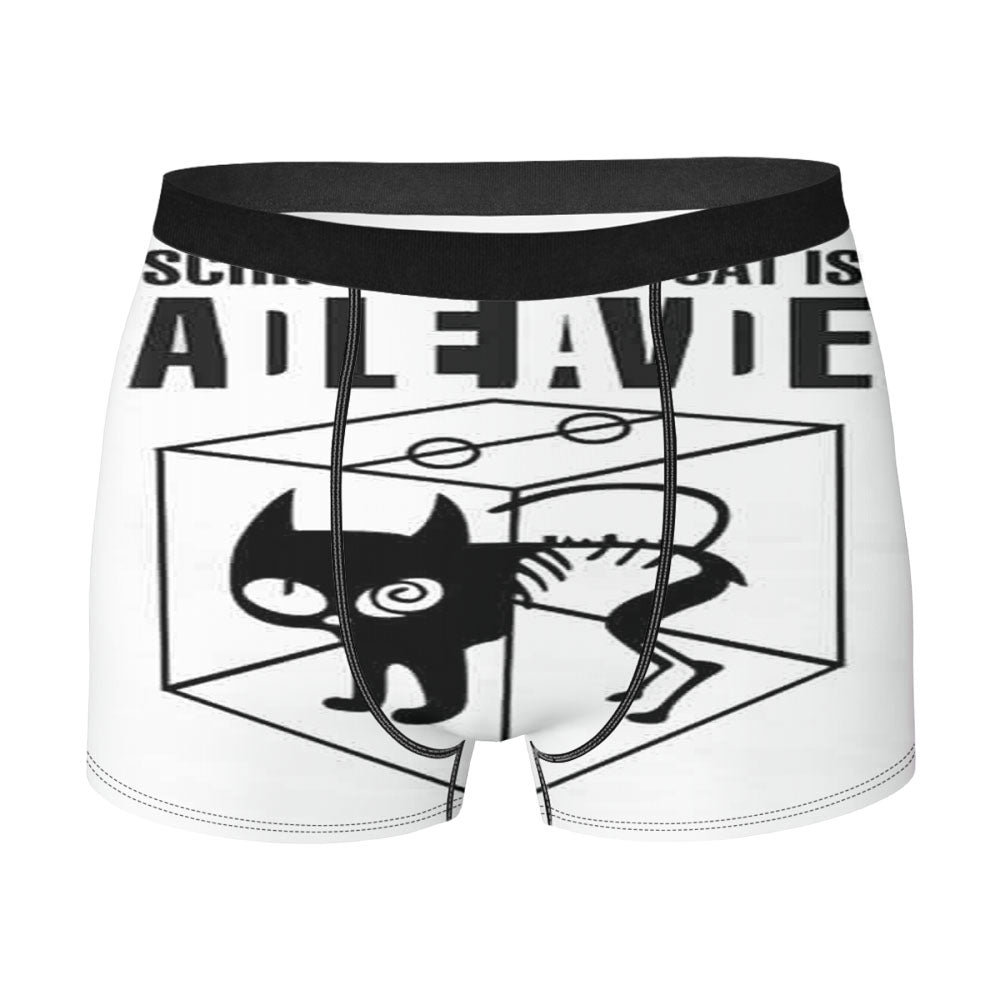 The Big Bang Theory Movie Sheldon Cooper Schrodingers Cat Men'S Boxer Briefs
