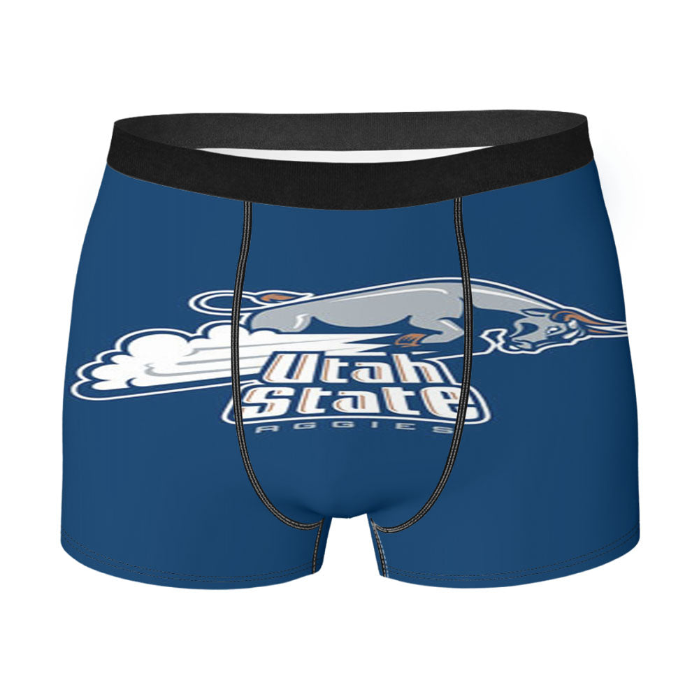 Utah State Aggies Icon Men'S Boxer Briefs