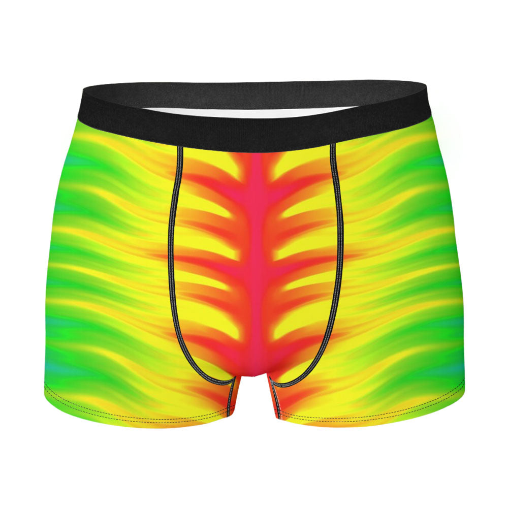 Abctract Trippy Rainbow Zebra Men'S Boxer Briefs