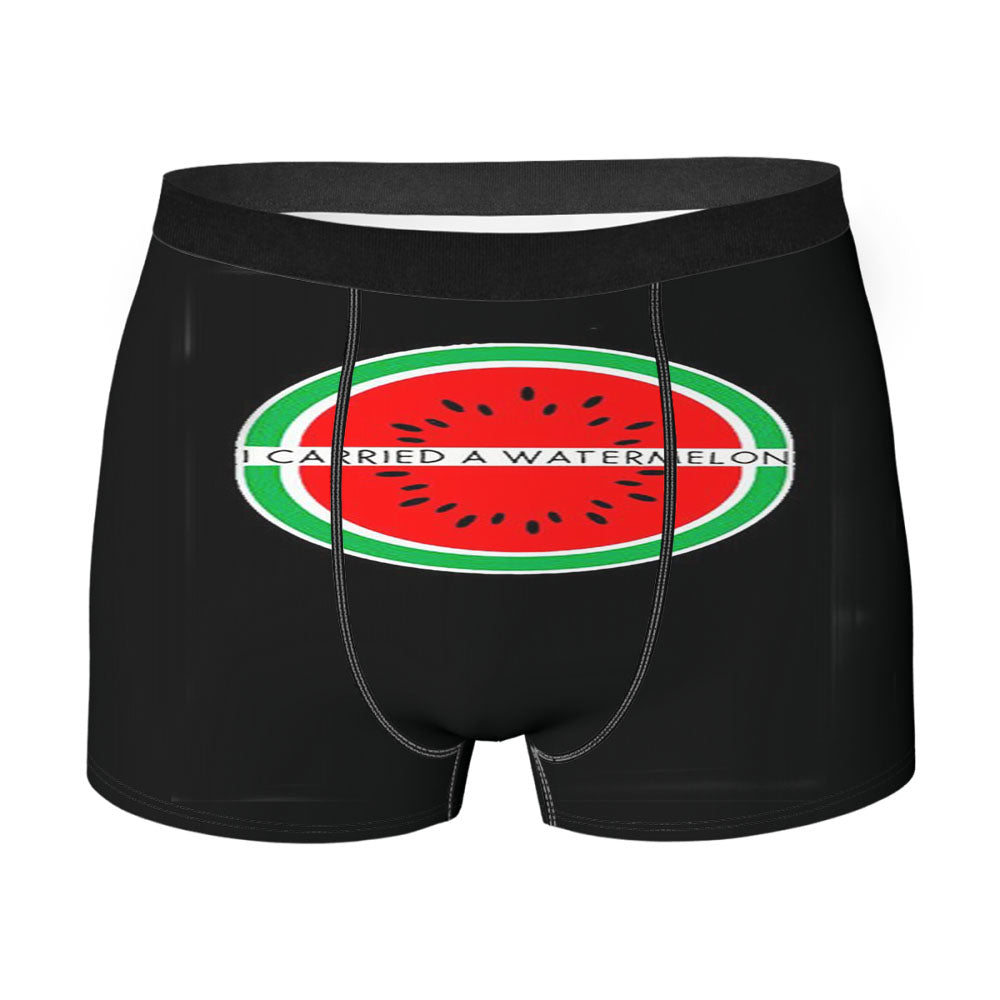 Dirty Dancing I Carried A Watermelon Funny Men'S Boxer Briefs