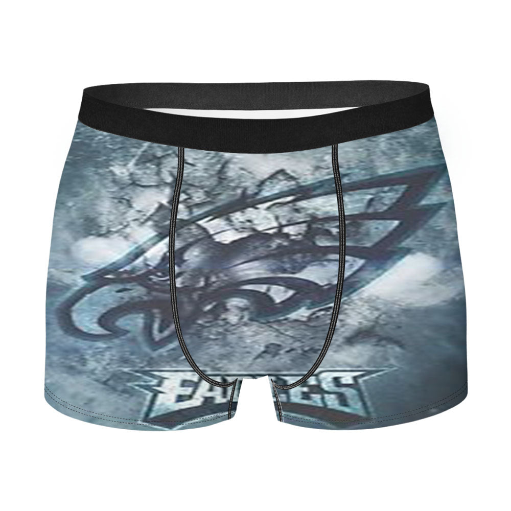Eagles Logo Art Men'S Boxer Briefs