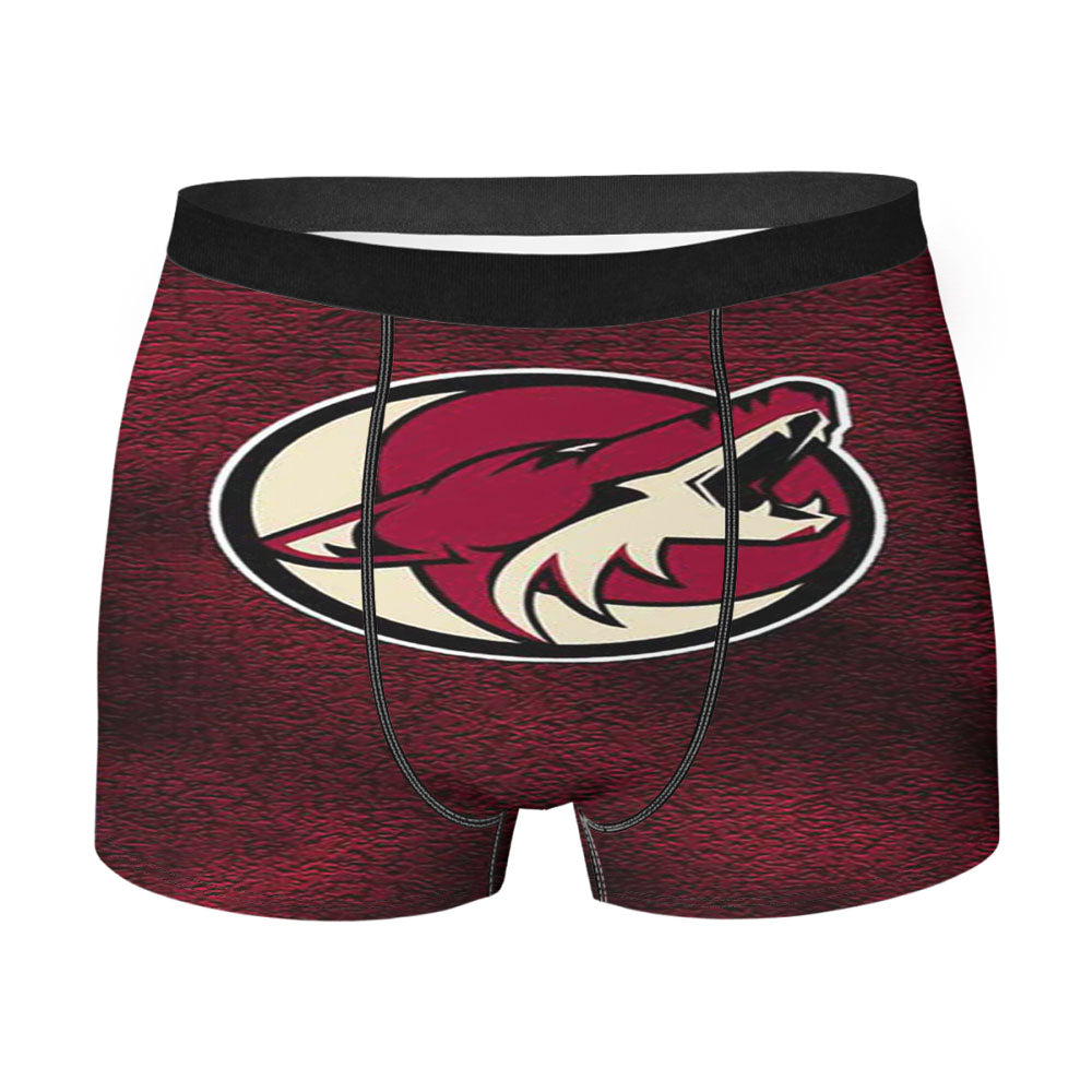 Arizona Coyotes Logo Jersey Men's Boxer Briefs