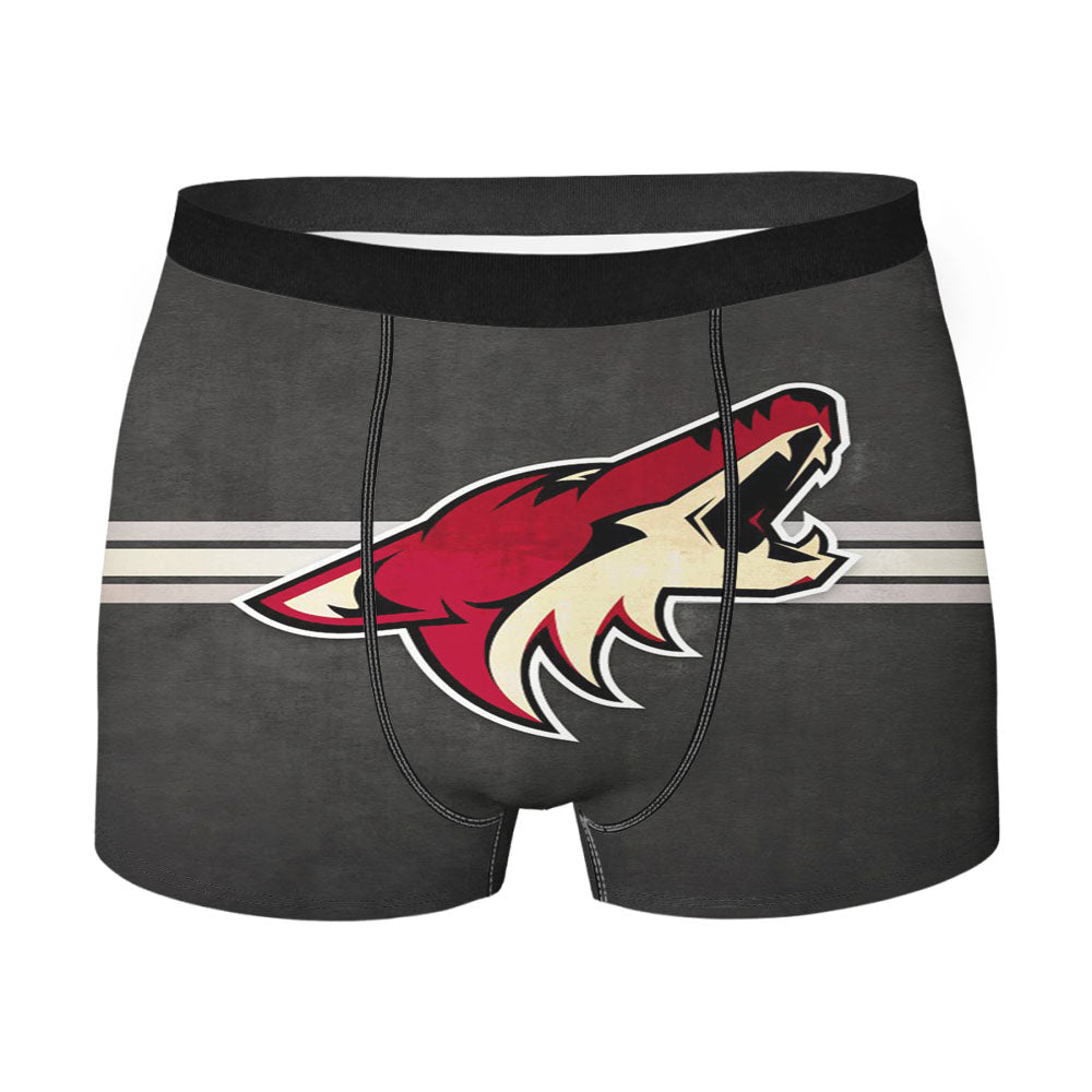 Nhl Arizona Coyotes  Men's Boxer Briefs