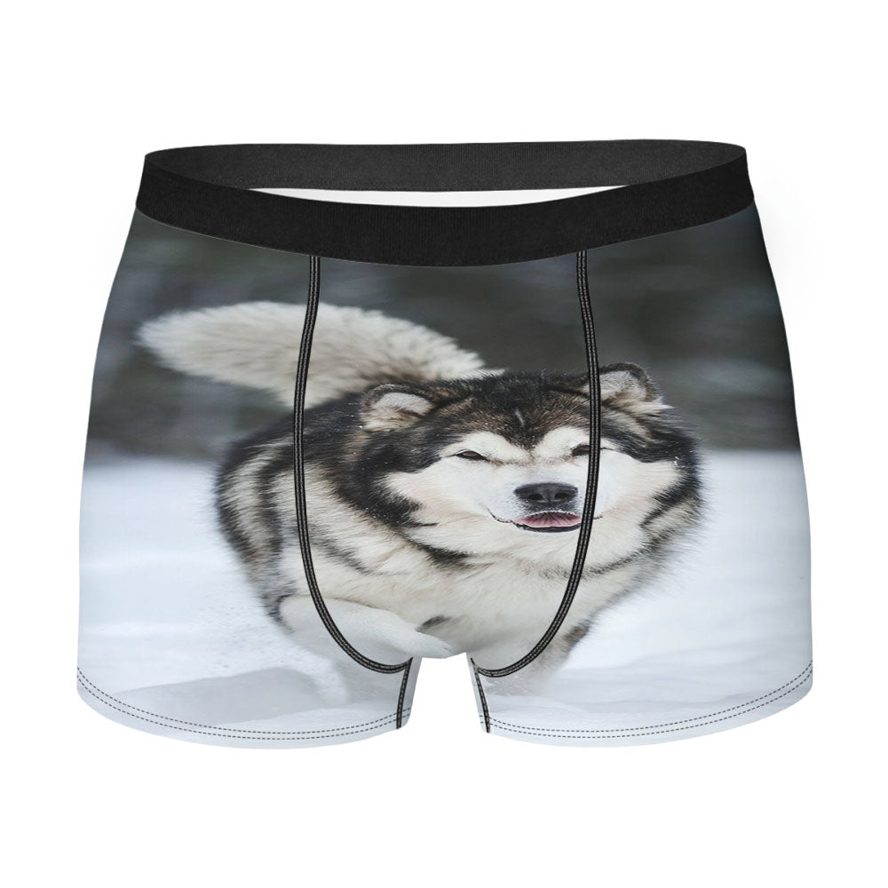 Alaskan Malamute Men's Boxer Briefs
