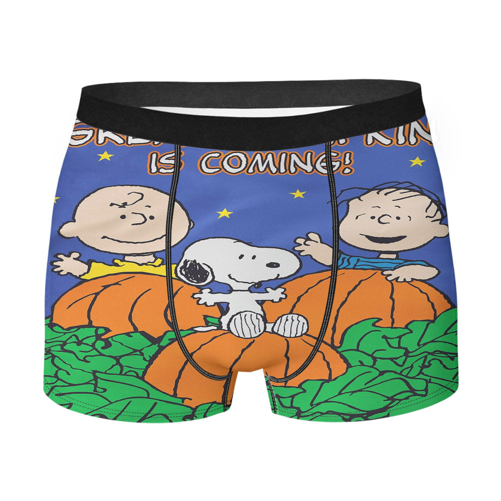 Peanuts Great Pumpkin Charlie Brown Men's Boxer Briefs