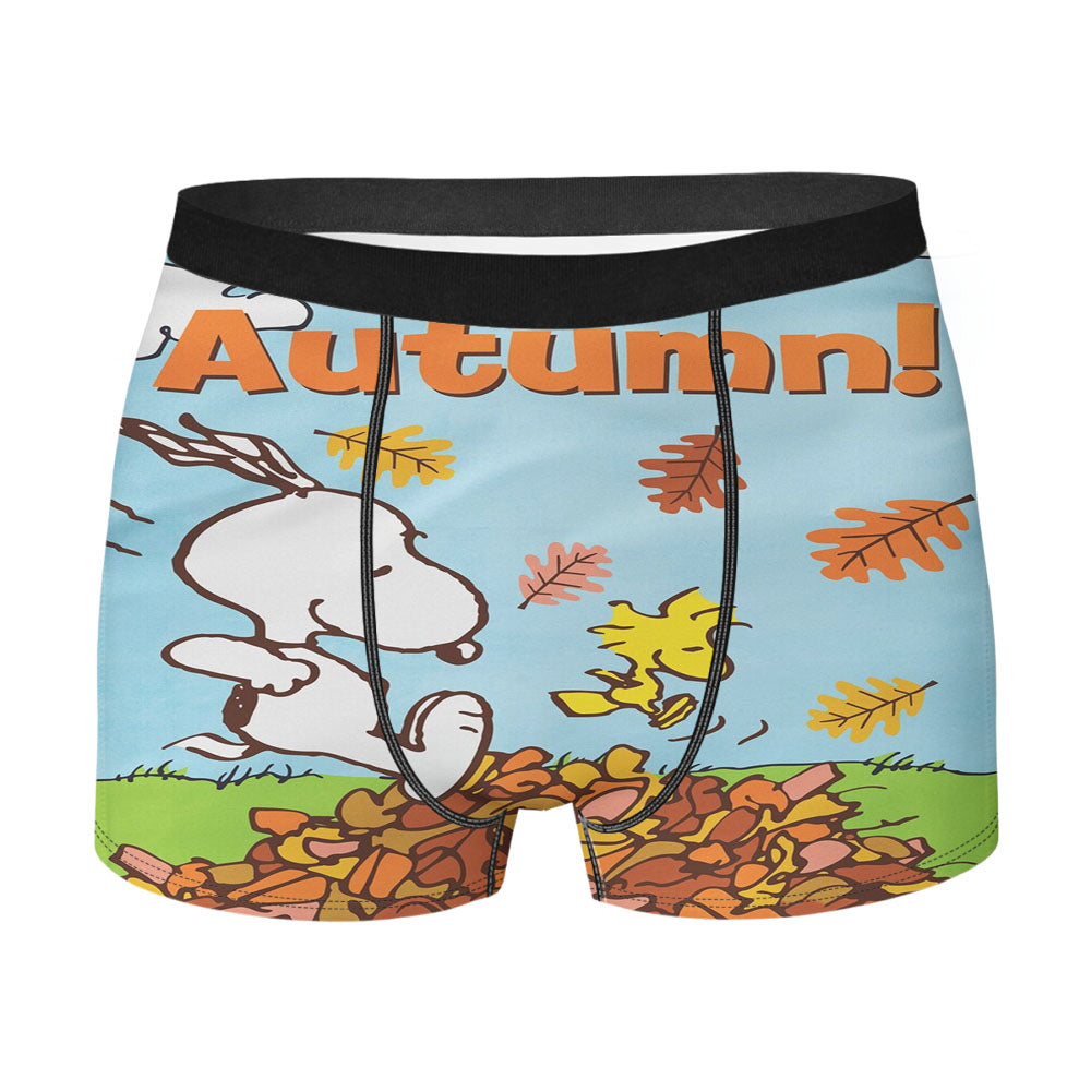 Peanuts Snoopy Fall Flag Snoopy And Woodstock Autumn Men's Boxer Briefs
