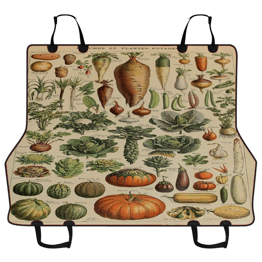 Adolphe Millot'S Vegetables Car Pet Seat Cover