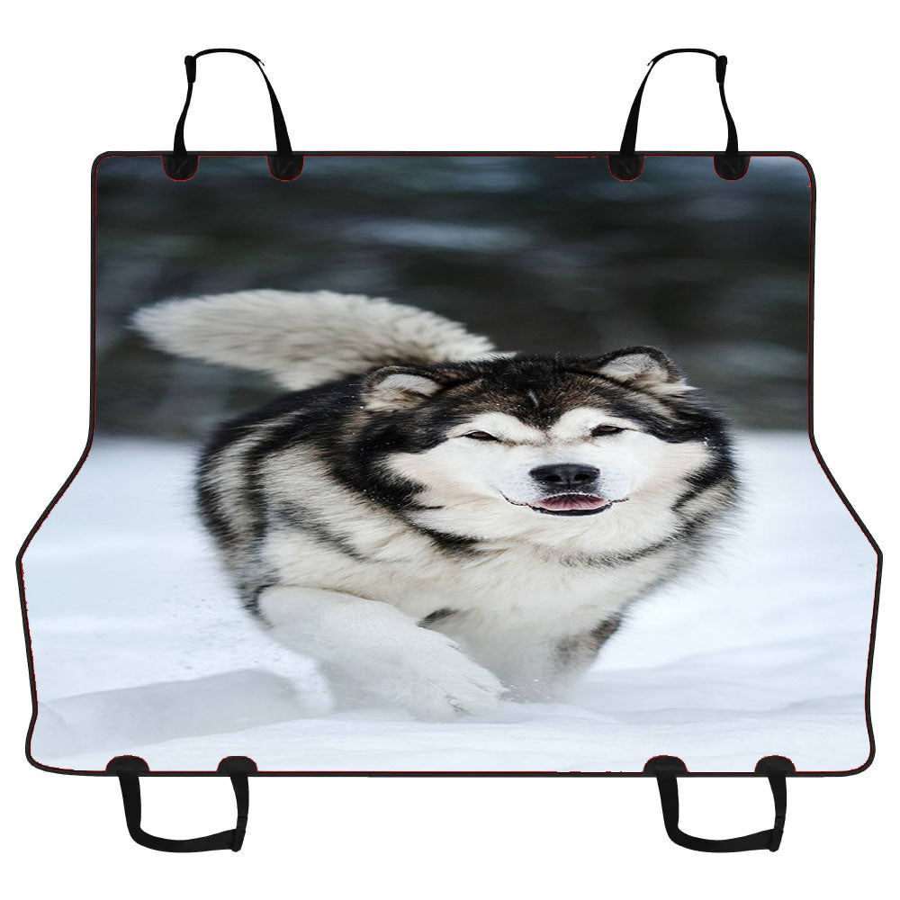 Alaskan Malamute Car Pet Seat Cover