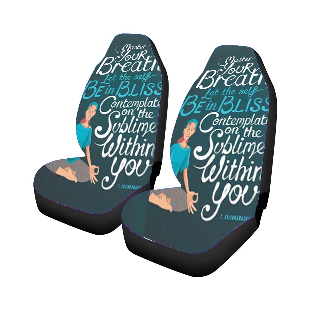 Meteor Rain Car Front Seat Covers