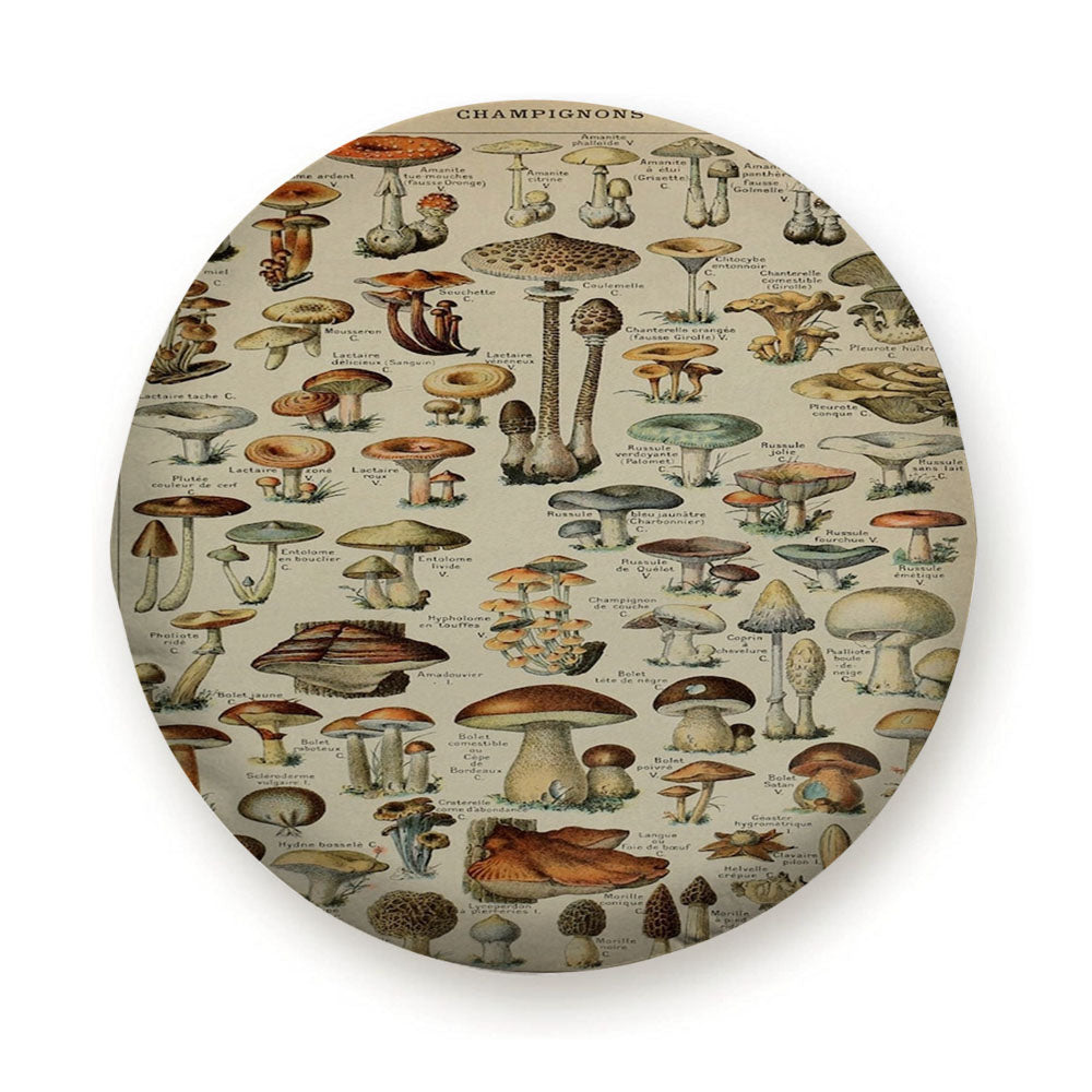 Adolphe Millot'S Mushroom Tire Cover