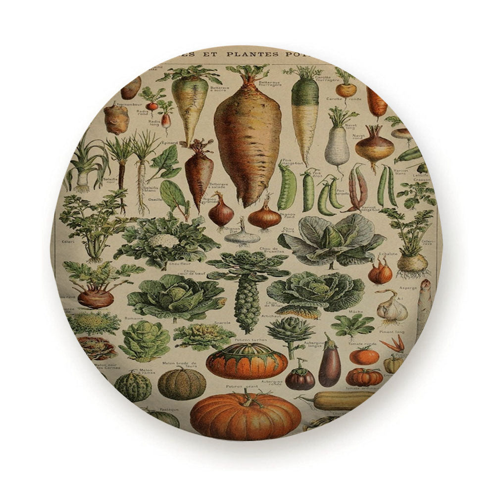 Adolphe Millot'S Vegetables Tire Cover